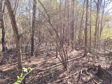 000 Highway 149, Mendenhall, MS 39114 - photo 6