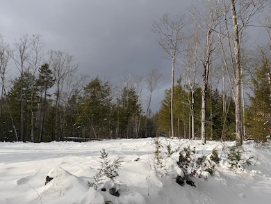 000 Dwinell Rd unit 534502, Troy, NH 03465 - photo 2