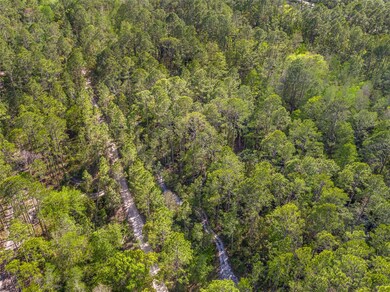 0 12th Ave unit MFRT3503635, Deland, FL 32724 - photo 2