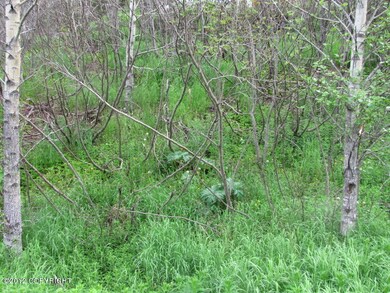 SW corner