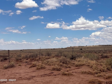 8400 N Terry Trail, Snowflake, AZ 85937 - photo 7