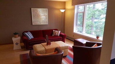 25 E Sand Pond Rd, Limington, ME 04049 - photo 5