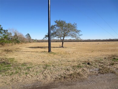 This view is the property next to the lot for sale