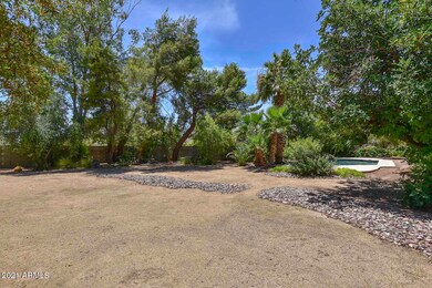Backyard (2)