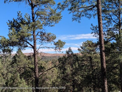 117 San Juan Rd, Ruidoso, NM 88345 - photo 6