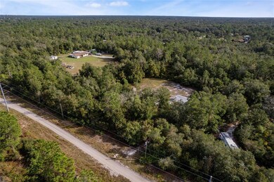 575 Werley Trail Orange City Florida 32763 Over view