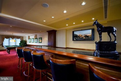 The Ritz-Carlton Residences, Baltimore, MD 21230 - photo 5