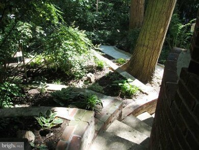 908 Larch Ave, Takoma Park, MD 20912 - photo 6