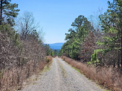 46.1 No Physical Address, Wister, OK 74966 - photo 2