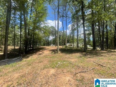 63 Hodgens Rd unit 3, Chelsea, AL 35043 - photo 6