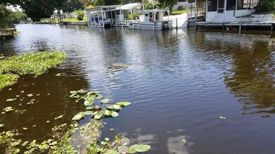 Lake Okeechobee Manatees in Water