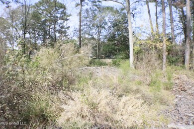 1074 Halton Ct, Brandon, MS 39047 - photo 6