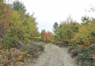 Lot 12 Ridgeview Rd, Harrison, ME 04040 - photo 5