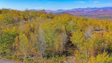 Lot 2 Mine Rd, Stoneham, ME 04231 - photo 3