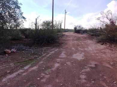 Vacant Lot1