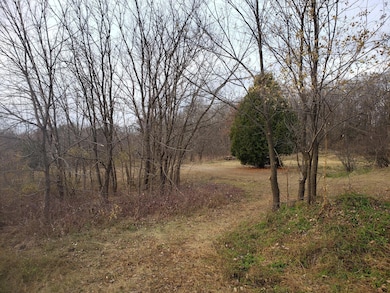 Lot 1 County Road M 202nd St, Alden Township, WI 54026 - photo 4