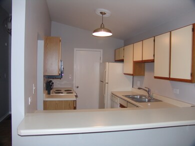 4406 W Shamrock Ln unit 2B, McHenry, IL 60050 - photo 3