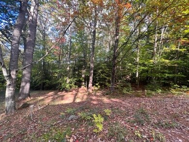 Lot 3 Briarcliff Cir, Campton, NH 03223 - photo 2