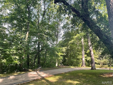 17421 Private Valley Ln, Chesterfield, MO 63005 - photo 4