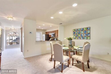 5718 Mayfair Manor Dr unit 101, Rockville, MD 20852 - photo 7