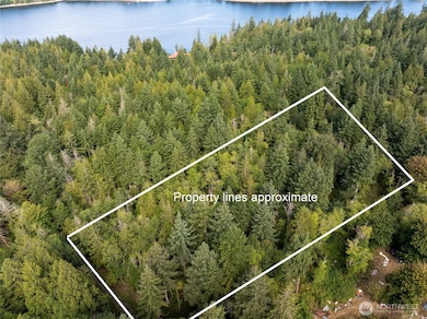 0 E Passage View Rd unit NWM2457101, Shelton, WA 98584 - photo 4