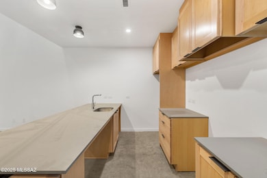 25 W Lalo Way, Tucson, AZ 85701 - photo 7