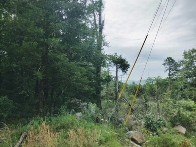 0 Little Pond Dr unit 25023106, Mountain View, AR 72560 - photo 2