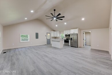 184 Shaddon Rd, Tellico Plains, TN 37385 - photo 5