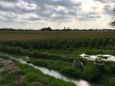 0 Billman Rd, Donna, TX 78537 - photo 3