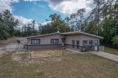 24100 SW Beaver Dr, Dunnellon, FL 34431 - photo 3