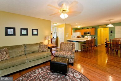 519 Crystal Ln, Strasburg, VA 22657 - photo 4