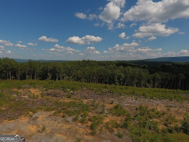 0 Johnson Mountain Rd unit 7401-E 10609032, Rydal, GA 30171 - photo 6