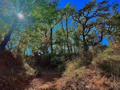 Tbd Cr 290, Breckenridge, TX 76424 - photo 7