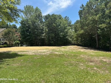 48 Megan Loop N, Hertford, NC 27944 - photo 4