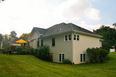 IMG_7202 (3)