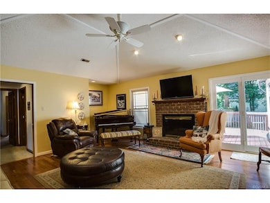Huge living room with cathedral ceiling, ceiling f