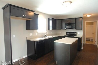 125 N Gadwall Ln, Downs, IL 61736 - photo 6