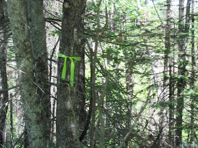 TBD County Fl Rd, Champion, MI 49814 - photo 2