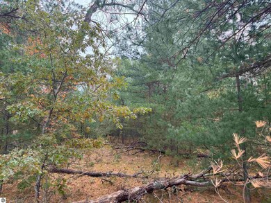 00 Rifle River Trail, Prescott, MI 48756 - photo 7