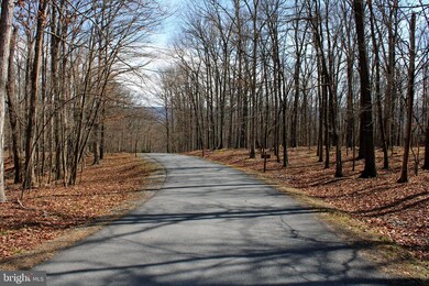 6.11 AC Sideling Mountain Trail, Great Cacapon, WV 25422 - photo 2