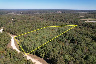 0 Snowgoose Ct unit RTC3042009, Hurricane Mills, TN 37078 - photo 4