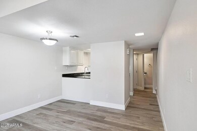 935 N Granite Reef Rd unit 100, Scottsdale, AZ 85257 - photo 7