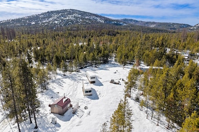 855 Badger Hollow Trail, Marion, MT 59925 - photo 4