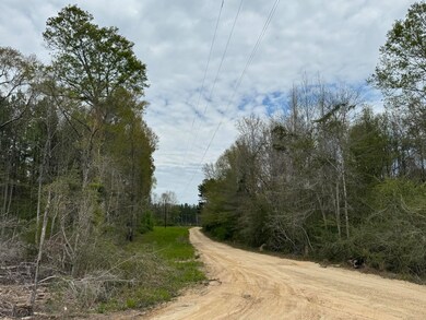 00 Dwan Rd, Ovett, MS 39464 - photo 5