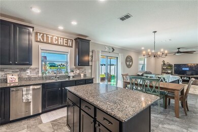 14329 Italia Dr, Wimauma, FL 33598 - photo 6