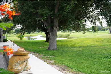 View of grassy yard
