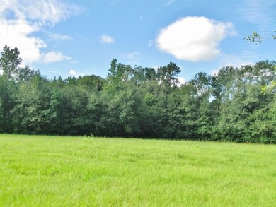 000 Sims Thornhill Rd, Tylertown, MS 39667 - photo 2