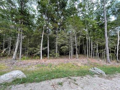 Lot G Blue Ridge Acres, Bristol, ME 04539 - photo 2