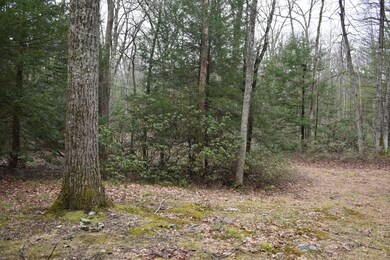 0 Five Mile Meadow Rd, Dingmans Fry, PA 18328 - photo 5