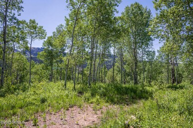 006_5428coulter31_37